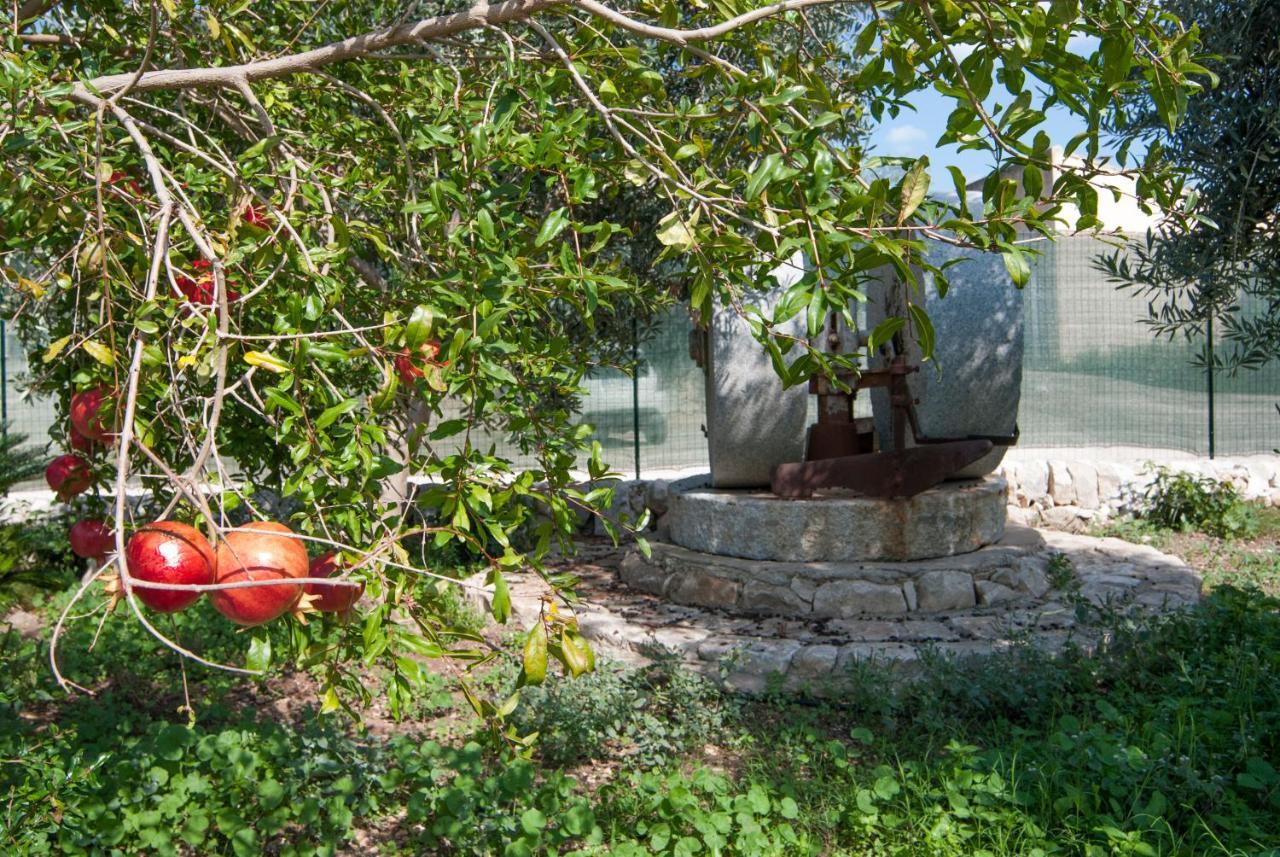 Agriturismo Al Casale Donnafugata Εξωτερικό φωτογραφία